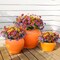 Artificial Flowers for Outdoors Faux Plants Outdoor Fake Flowers Spring Decoration,12 Bundles Faux Silk Colorful Daisy Realistic UV Resistant1for Outside Home Planter Window Porch Patio Yard